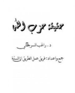 كتاب الفتنة الطائفية في مصر.. الجذور.. الواقع.. المستقبل لـ راغب السرجاني